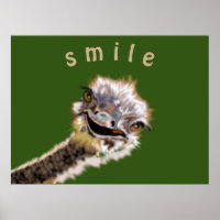 Poster d'autruche - Sourire - Votre couleur - Text