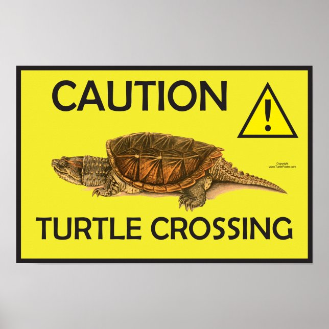 Poster d'avertissement croiser tortue (Devant)