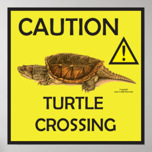 Poster d'avertissement croiser tortue