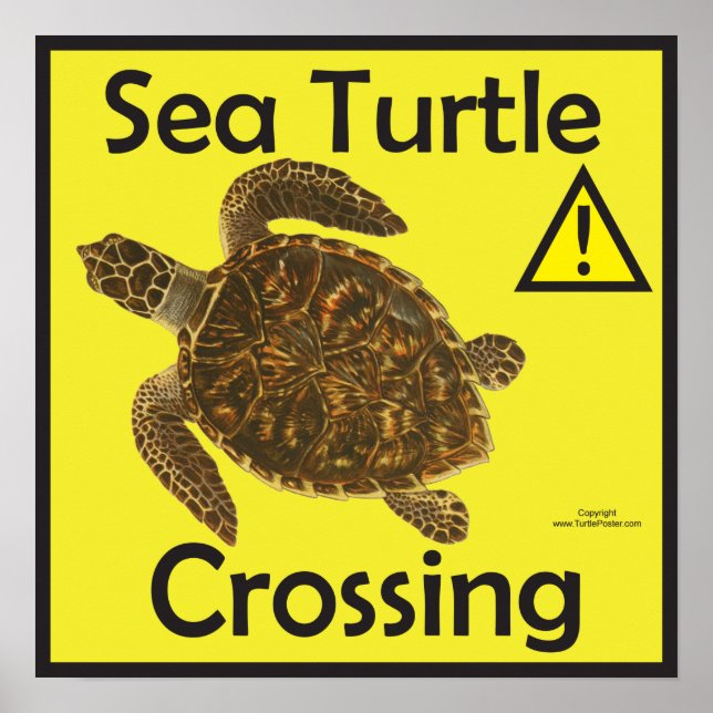 Poster d'avertissement pour le passage des tortues (Devant)