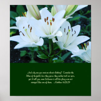 Poster Day Lily