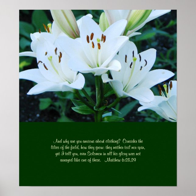 Poster Day Lily (Devant)