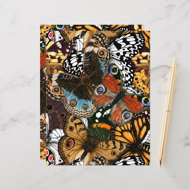 Poster de animal. Ailes papillons. (Devant/Arrière en situation)