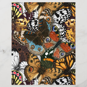Poster de animal. Ailes papillons.