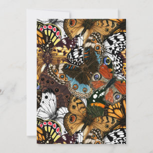 Poster de animal. Ailes papillons.