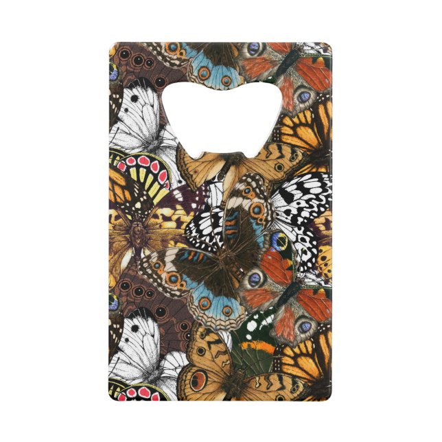 Poster de animal. Ailes papillons. (Devant)
