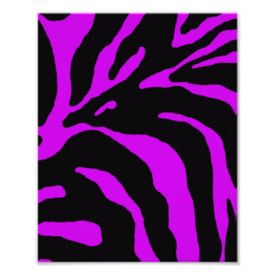 Poster de animal de bande violet Zebra