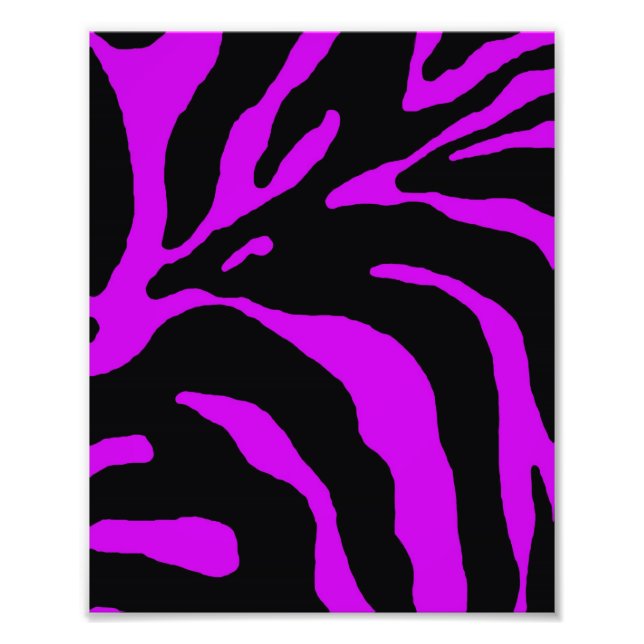 Poster de animal de bande violet Zebra (Devant)