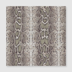 Poster de animal de peau de serpent