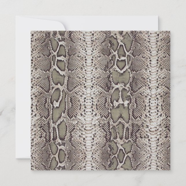 Poster de animal de peau de serpent (Devant)