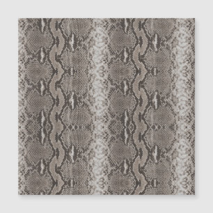 Poster de animal Python Snake Skin