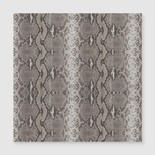Poster de animal Python Snake Skin (Devant)