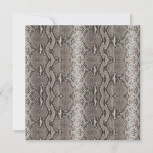 Poster de animal Python Snake Skin