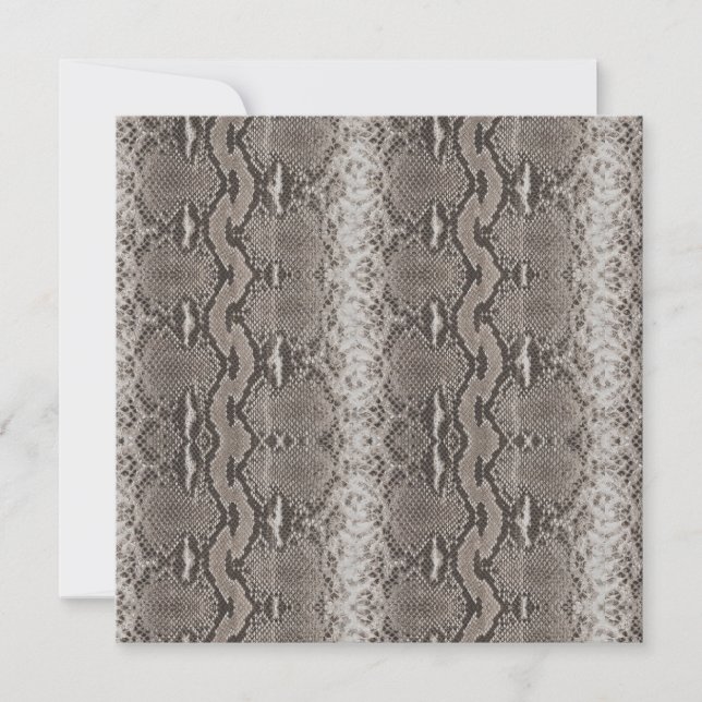 Poster de animal Python Snake Skin (Devant)
