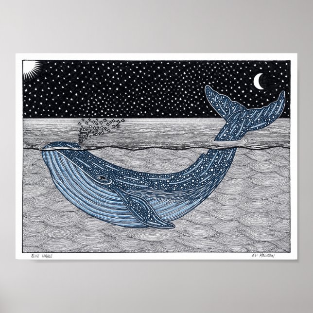 Poster de baleine bleue (Devant)