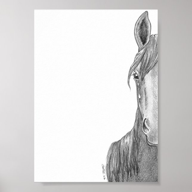 Poster de Bard (Devant)