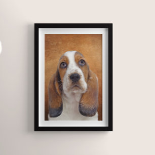 Poster de Basset Hound