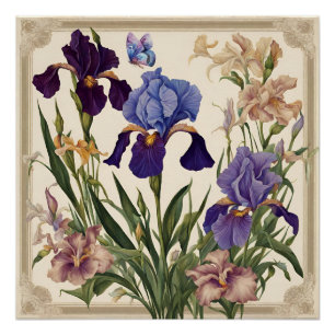 Poster De Belles Fleurs Iris