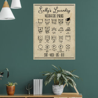 Poster de blanchisserie infographie lave symboles