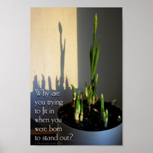 Poster de Born to Stand Out