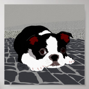 Poster de Boston Terrier Stone Paving Wall Art