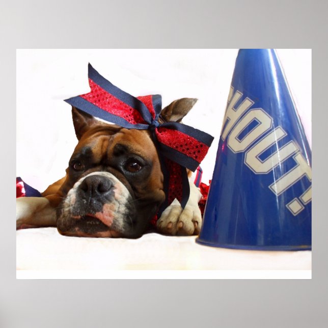 poster de boxer pom-pom girl (Devant)