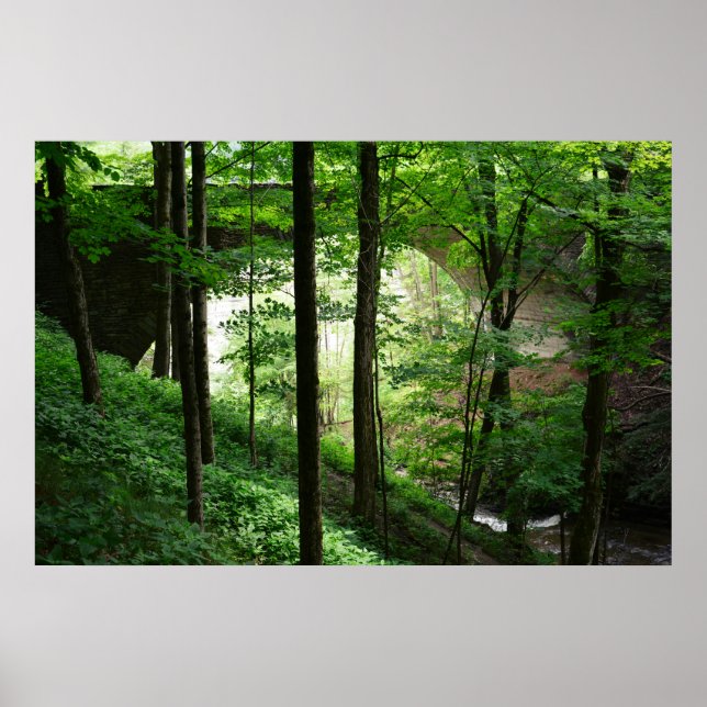 Poster de Bridge Arch Green Forest 36" x 24" (Devant)