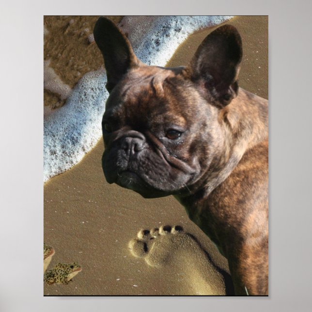 Poster de bulldog français (Devant)