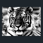 Poster de BW Tiger Imprimer Pop Art Style Tigers P<br><div class="desc">Visage des affiches de tigres de Sibérie Imprimantes - Courage motivationnel / Confiance Pop Art Tigers - Tigre Tigre Tête / Portrait Digital Animal Artwork - Tiger Eyes Pop Art Image - Tiger Tiger - Tiger Portrait - Wild Tigers - Big Cats Digital Images</div>