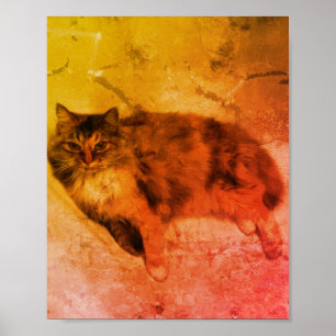 Poster de Calico Cat
