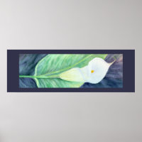 Poster de Calla Lily