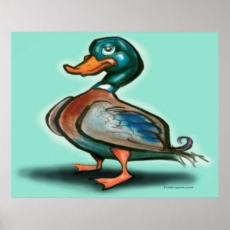 Poster de canard