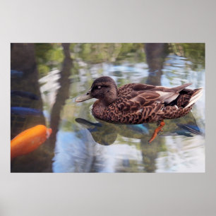 Poster de canard et d'étang de poisson