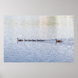Poster de Canards sur Glen Lake
