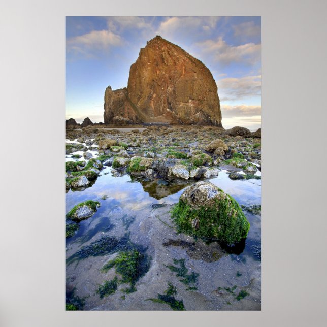 Poster de Cannon Beach Haystack Rock Low Tide Oreg (Devant)