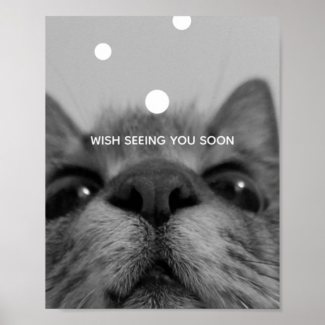 Poster de carte postale Black&White Cat Face (Devant)