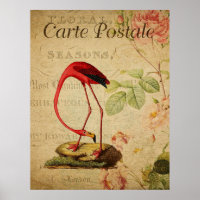 Poster de carte postale Vintage Flamant rose
