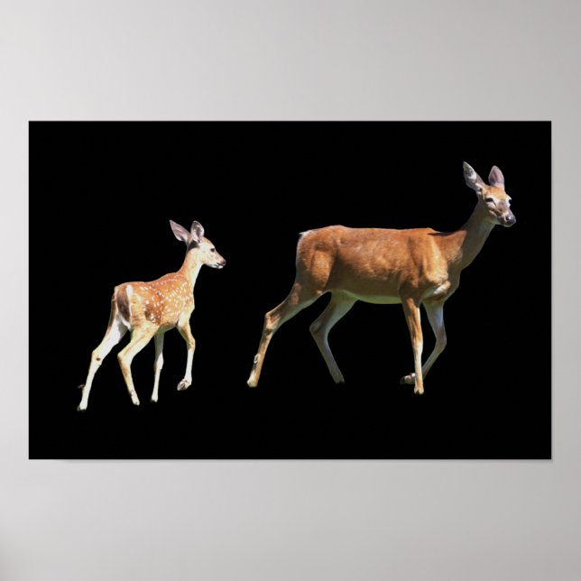 Poster de cerfs (Devant)