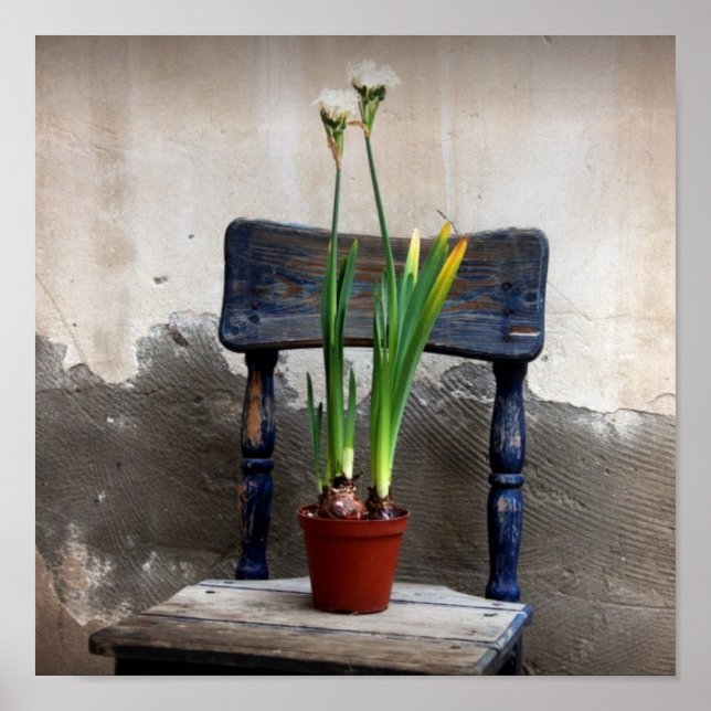 Poster de chaise et de fleurs (Devant)