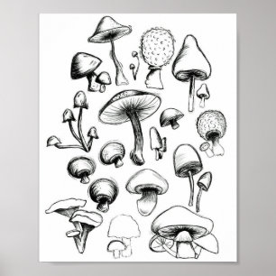 Poster de champignons