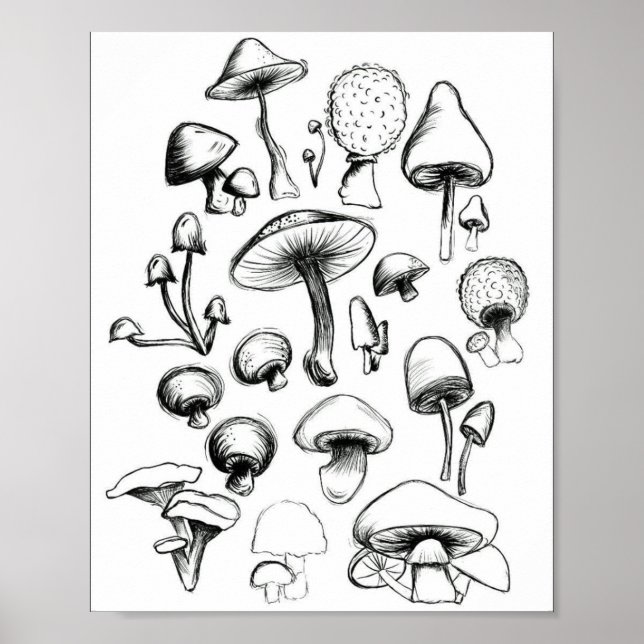Poster de champignons (Devant)