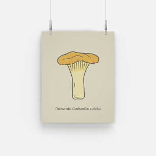 Poster de champignons de la Chanterelle botanique