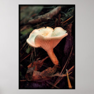 Poster de champignons Essence -40x60 -autres taill