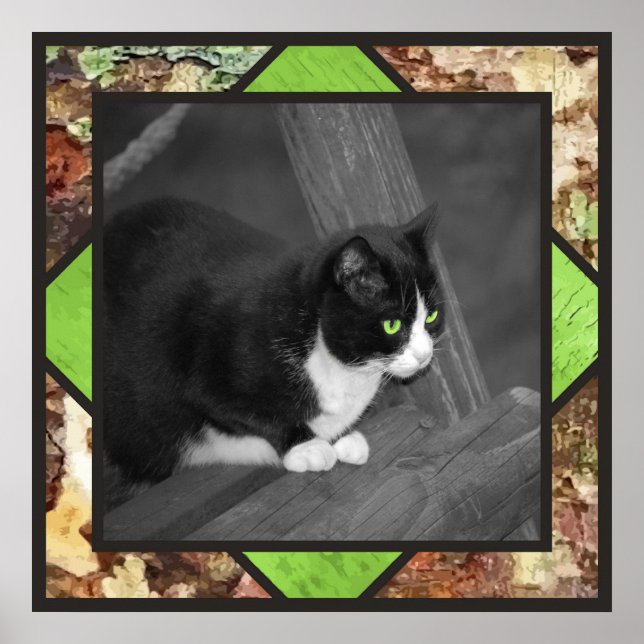 Poster de chat Barnyard (Devant)