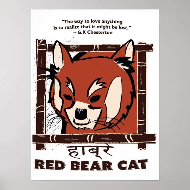 Poster de chat de l'ours rouge (Devant)