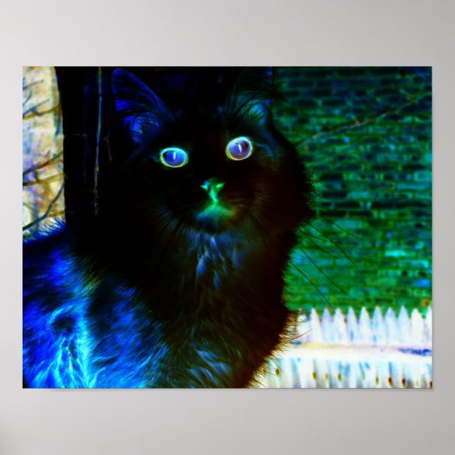 Poster de chat éffrayant (Devant)