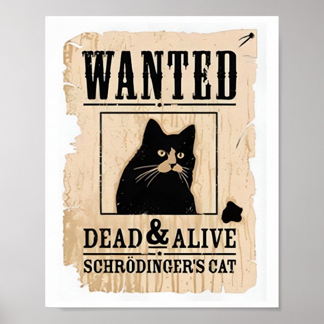 Poster de chat Schrodinger Recherché, mort ou viva (Devant)