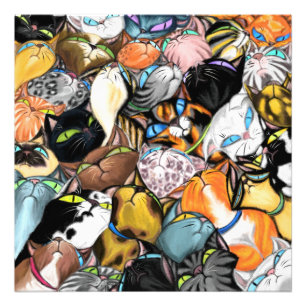 Poster de chats bouddhistes