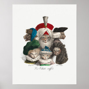 Poster de chats vintages