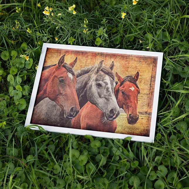 Poster de chevaux pour découpage ou collage papier (Créateur téléchargé)